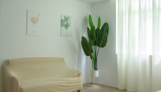 トレーニーの部屋づくり｜回復と癒しのインテリア戦略